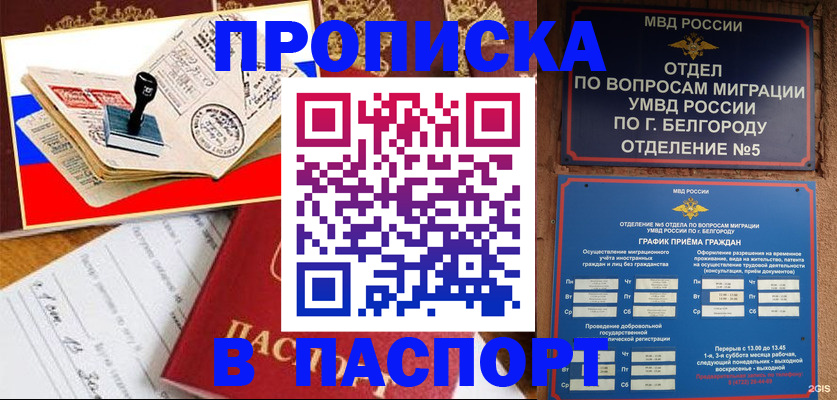 купить прописку в Камчатском крае